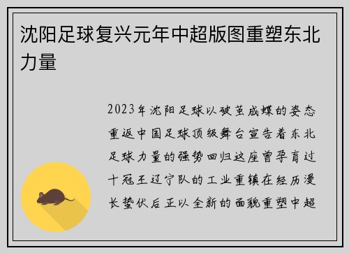 沈阳足球复兴元年中超版图重塑东北力量