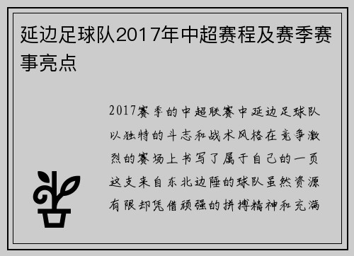 延边足球队2017年中超赛程及赛季赛事亮点